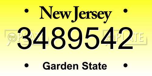 3489542 New Jersey License Plate