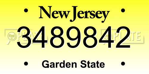 3489842 New Jersey License Plate