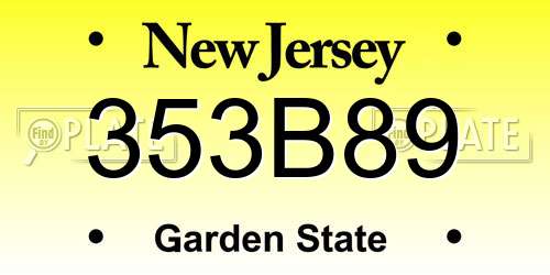 353B89 New Jersey License Plate