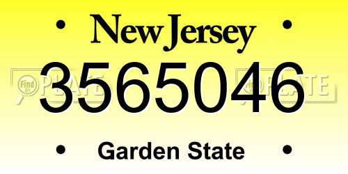 3565046 New Jersey License Plate