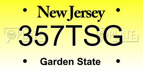 357TSG New Jersey License Plate