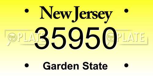 35950 New Jersey License Plate