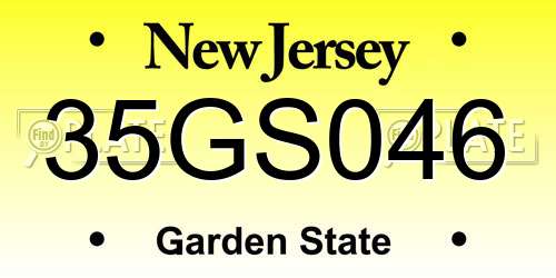 35GS046 New Jersey License Plate