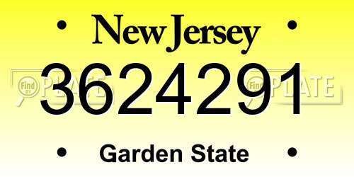 3624291 New Jersey License Plate