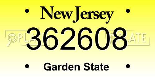 362608 New Jersey License Plate