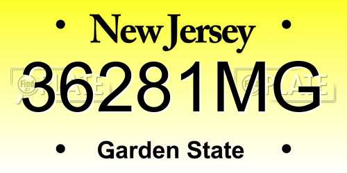 36281MG New Jersey License Plate