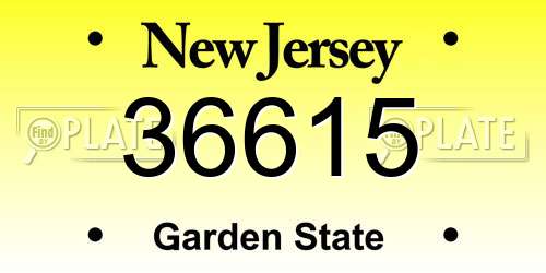 36615 New Jersey License Plate