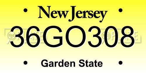 36GO308 New Jersey License Plate