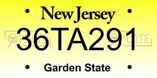 36TA291 New Jersey License Plate