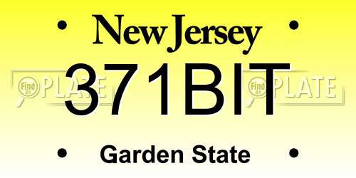 371BIT New Jersey License Plate