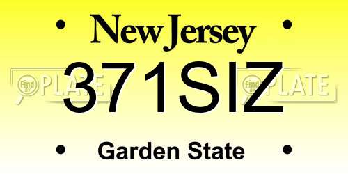 371SIZ New Jersey License Plate