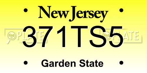 371TS5 New Jersey License Plate