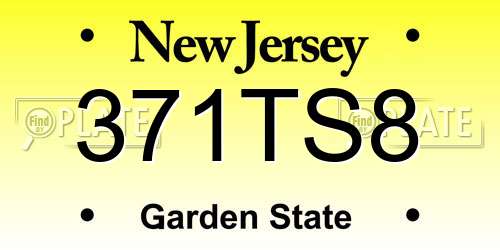 371TS8 New Jersey License Plate