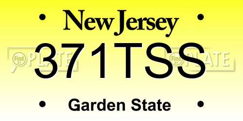 371TSS New Jersey License Plate