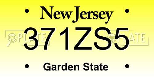 371ZS5 New Jersey License Plate