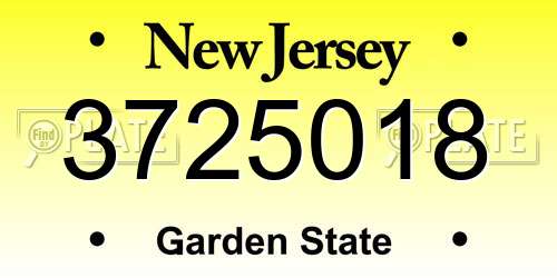 3725018 New Jersey License Plate