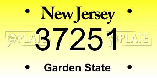 37251 New Jersey License Plate