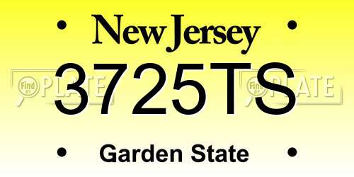 3725TS New Jersey License Plate