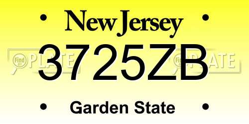 3725ZB New Jersey License Plate