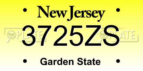 3725ZS New Jersey License Plate