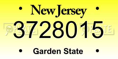 3728015 New Jersey License Plate