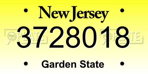 3728018 New Jersey License Plate