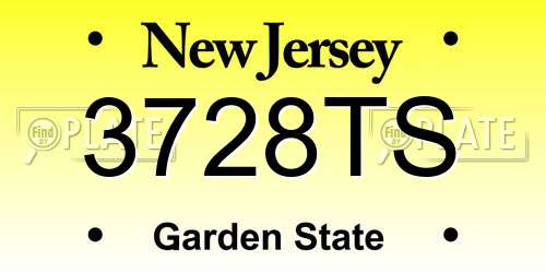 3728TS New Jersey License Plate