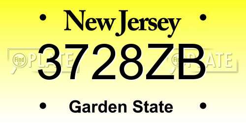 3728ZB New Jersey License Plate