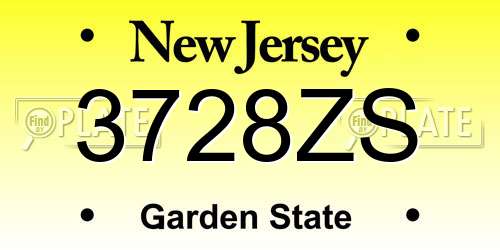 3728ZS New Jersey License Plate