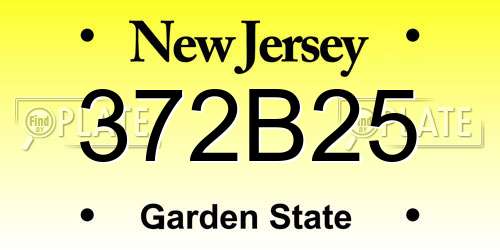372B25 New Jersey License Plate