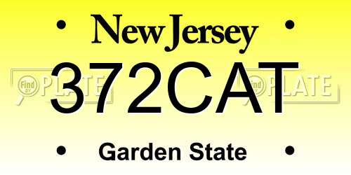 372CAT New Jersey License Plate