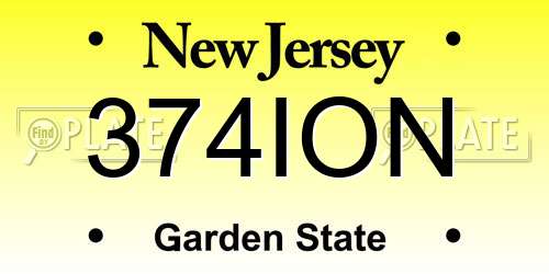 374ION New Jersey License Plate