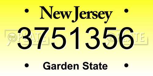 3751356 New Jersey License Plate