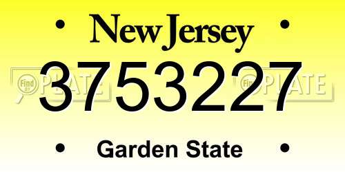 3753227 New Jersey License Plate