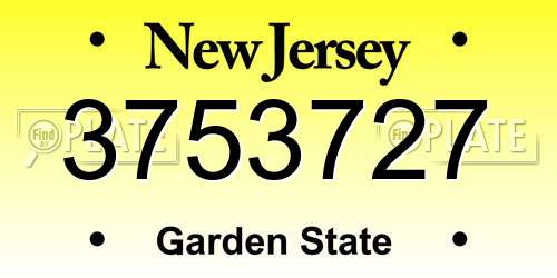 3753727 New Jersey License Plate