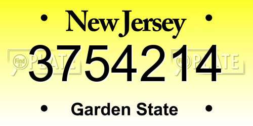 3754214 New Jersey License Plate