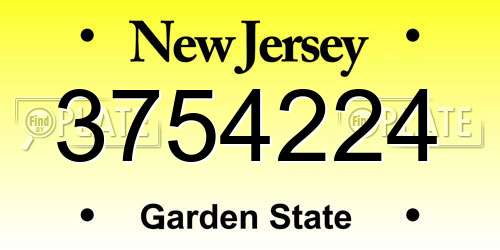 3754224 New Jersey License Plate