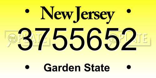 3755652 New Jersey License Plate