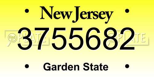 3755682 New Jersey License Plate