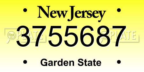 3755687 New Jersey License Plate