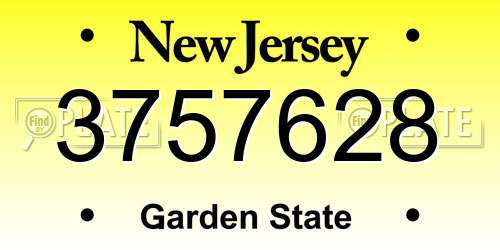 3757628 New Jersey License Plate