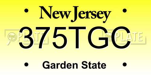 375TGC New Jersey License Plate