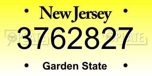 3762827 New Jersey License Plate