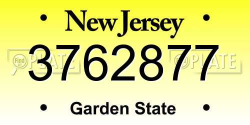 3762877 New Jersey License Plate