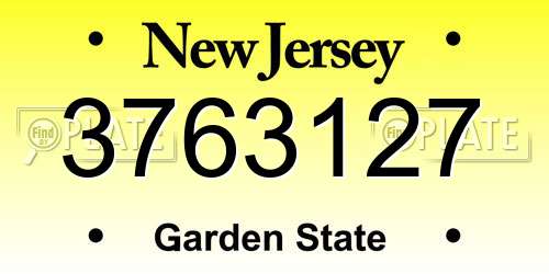 3763127 New Jersey License Plate