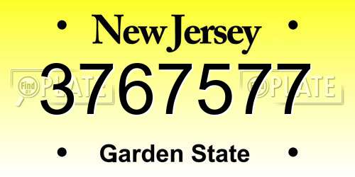 3767577 New Jersey License Plate