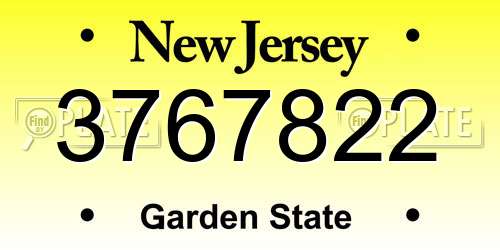 3767822 New Jersey License Plate