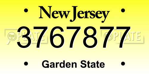 3767877 New Jersey License Plate