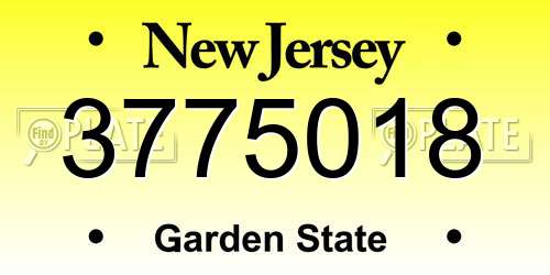 3775018 New Jersey License Plate