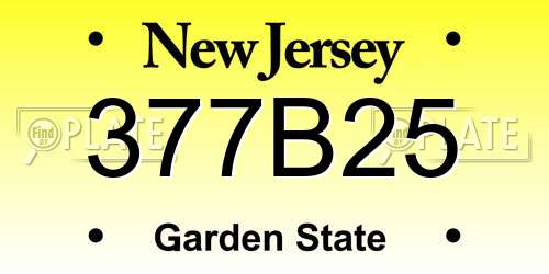 377B25 New Jersey License Plate